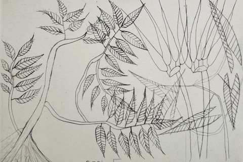 F&eacute;lix Ossali 'Botanical Study' etching on paper | 18 cm x 25 cm (7.1 in x 9.8 in)